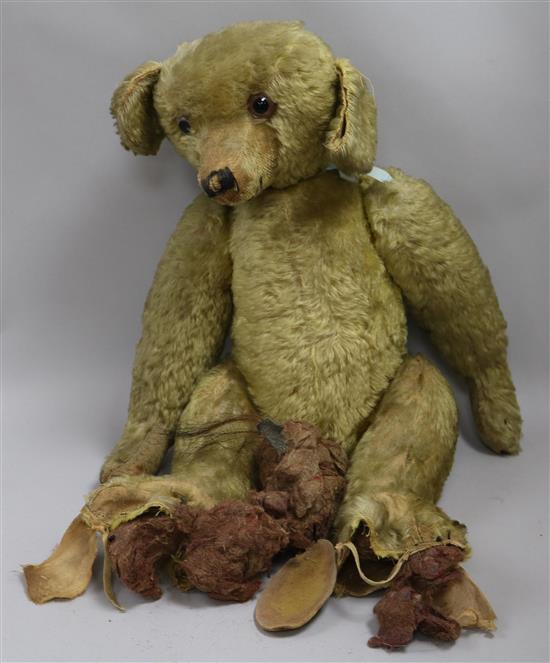 A large early English mohair teddy bear approx. 64cm